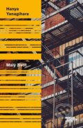 Kniha: Malý život (Hanya Yanagihara), 2017 Kniha: Malý život (Hanya Yanagihara), 2017