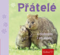 Kniha: Přátelé v dobrém i ve zlém (Pragma). Pragma, 2017 Kniha: Přátelé v dobrém i ve zlém (Pragma). Pragma, 2017