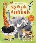 Kniha: Big Book Of Animals (Hazel Maskell). Usborne, 2017 Kniha: Big Book Of Animals (Hazel Maskell). Usborne, 2017