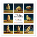 Kalendár 2025 Yoga Chicks (Portico Designs). Portico Designs, 2024 Kalendár 2025 Yoga Chicks (Portico Designs). Portico Designs, 2024