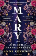 Kniha: Mary (Anne Eekhout). Pushkin Press, 2024 Kniha: Mary (Anne Eekhout). Pushkin Press, 2024
