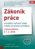 Kniha: Zákoník práce (Dana Roučková, Eva Hofmannová, Ludmila Tomandlová, Pavel Knebl, Pavla Hloušková, Petr Schweiner a Zdeněk Schmied). ANAG, 2018 Kniha: Zákoník práce (Dana Roučková, Eva Hofmannová, Ludmila Tomandlová, Pavel Knebl, Pavla Hloušková, Petr Schweiner a Zdeněk Schmied). ANAG, 2018