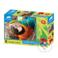 Puzzle: Papoušek (Prime 3D). Prime 3D, 2024 Puzzle: Papoušek (Prime 3D). Prime 3D, 2024