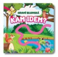 Kniha: Hravé bludiská - Kam idem? (Taktik). Taktik, 2024 Kniha: Hravé bludiská - Kam idem? (Taktik). Taktik, 2024