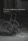 Kniha: V roztrieštenom procese (Dávid Paška). DuBari, 2017 Kniha: V roztrieštenom procese (Dávid Paška). DuBari, 2017