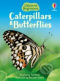 Kniha: Caterpillars and Butterflies (Stephanie Turnbull). Usborne, 2006 Kniha: Caterpillars and Butterflies (Stephanie Turnbull). Usborne, 2006