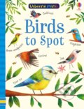 Kniha: Birds to Spot (Kirsteen Robson a Sam Smith). Usborne, 2019 Kniha: Birds to Spot (Kirsteen Robson a Sam Smith). Usborne, 2019