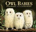 Kniha: Owl Babies 25Th Anniversary Edition (Martin Waddell). Walker books, 2017 Kniha: Owl Babies 25Th Anniversary Edition (Martin Waddell). Walker books, 2017