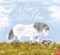 Kniha: A Horse Called Now (Ruth Doyle). Nosy Crow, 2024 Kniha: A Horse Called Now (Ruth Doyle). Nosy Crow, 2024