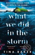 Kniha: What We Did In The Storm (Tina Baker). Viper, 2024 Kniha: What We Did In The Storm (Tina Baker). Viper, 2024