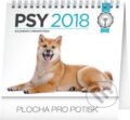 Psy 2018, Presco Group, 2017