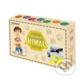 Společenská hra: MemoRace - Animals (new) (Regipio). Regipio, 2022 Společenská hra: MemoRace - Animals (new) (Regipio). Regipio, 2022