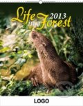 Život v lese praktik 2013, 2012
