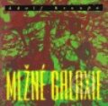 Kniha: Mlžné galaxie (Adolf Kroupa). Petrov, 1999 Kniha: Mlžné galaxie (Adolf Kroupa). Petrov, 1999