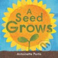 Kniha: A seed grows (Antoinette Portis). Scallywag, 2022 Kniha: A seed grows (Antoinette Portis). Scallywag, 2022