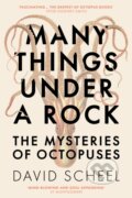 Kniha: Many Things Under a Rock (David Scheel). Hodder and Stoughton, 2023 Kniha: Many Things Under a Rock (David Scheel). Hodder and Stoughton, 2023