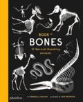 Kniha: Book of Bones (Gabrielle Balkan). Phaidon, 2017 Kniha: Book of Bones (Gabrielle Balkan). Phaidon, 2017