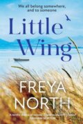 Kniha: Little Wing, 2022 Kniha: Little Wing, 2022