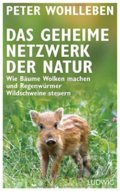 Das geheime Netzwerk der Natur - Peter Wohlleben, Ludwig, 2017
