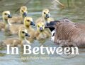 Kniha: In Between (April Pulley Sayre). Beach Lane, 2023 Kniha: In Between (April Pulley Sayre). Beach Lane, 2023