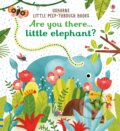 Kniha: Are you there Little Elephant (Sam Taplin). Usborne, 2017 Kniha: Are you there Little Elephant (Sam Taplin). Usborne, 2017