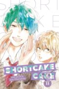 Kniha: Shortcake Cake, Vol. 11 (suu Morishita). Viz Media, 2021 Kniha: Shortcake Cake, Vol. 11 (suu Morishita). Viz Media, 2021