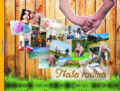 Kniha: Naša rodina (Štefánia Beňová). BENS, 2013 Kniha: Naša rodina (Štefánia Beňová). BENS, 2013