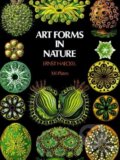 Kniha: Art Forms in Nature (Ernst Heinr Haeckel). Dover Publications, 2000 Kniha: Art Forms in Nature (Ernst Heinr Haeckel). Dover Publications, 2000