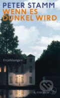 Kniha: Wenn es dunkel wird (Peter Stamm). , 2020 Kniha: Wenn es dunkel wird (Peter Stamm). , 2020