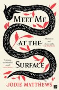 Kniha: Meet Me at the Surface, 2025 Kniha: Meet Me at the Surface, 2025