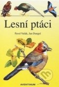 Kniha: Lesní ptáci (Rudolf Hrabák). Aventinum, 2002 Kniha: Lesní ptáci (Rudolf Hrabák). Aventinum, 2002