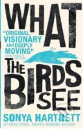 Kniha: What the Birds See (Sonya Hartnett). Walker books, 2018 Kniha: What the Birds See (Sonya Hartnett). Walker books, 2018