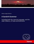 Kniha: A Sanskrit Grammar (William Dwight Whitney). , 2017 Kniha: A Sanskrit Grammar (William Dwight Whitney). , 2017