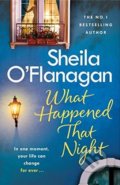 Kniha: What Happened That Night (Sheila O'Flanagan). Headline Book, 2018 Kniha: What Happened That Night (Sheila O'Flanagan). Headline Book, 2018