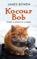 Kniha: Kocour Bob (James Bowen). Ikar CZ, 2017 Kniha: Kocour Bob (James Bowen). Ikar CZ, 2017