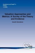 Kniha: Valuation Approaches and Metrics (Aswath Damodaran). , 2007 Kniha: Valuation Approaches and Metrics (Aswath Damodaran). , 2007