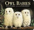 Kniha: Owl Babies (Martin Waddell). Warner Books Kniha: Owl Babies (Martin Waddell). Warner Books