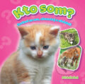 Kniha: Kto som? Mláďatká (YoYo Books). YoYo Books, 2018 Kniha: Kto som? Mláďatká (YoYo Books). YoYo Books, 2018