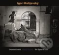 Kniha: Igor Malijevský (Igor Malijevský). Kant, 2016 Kniha: Igor Malijevský (Igor Malijevský). Kant, 2016