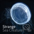Kniha: Strange Sea Creatures (Erich Hoyt). Firefly Books, 2024 Kniha: Strange Sea Creatures (Erich Hoyt). Firefly Books, 2024