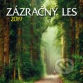Zázračný les 2019, 2018 Zázračný les 2019, 2018