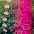 Hudební CD: Snowpoet: Heartstrings (Purple) LP (Music on Vinyl). Music on Vinyl, 2025 Hudební CD: Snowpoet: Heartstrings (Purple) LP (Music on Vinyl). Music on Vinyl, 2025