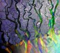Hudební CD: Alt-J: An Awesome Wave (Universal Music). Universal Music, 2022 Hudební CD: Alt-J: An Awesome Wave (Universal Music). Universal Music, 2022