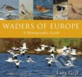 Kniha: Waders of Europe (Lars Gejl). Oxford University Press, 2017 Kniha: Waders of Europe (Lars Gejl). Oxford University Press, 2017