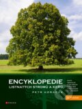 Kniha: Encyklopedie listnatých stromů a keřů (Petr Horáček). CPRESS, 2025 Kniha: Encyklopedie listnatých stromů a keřů (Petr Horáček). CPRESS, 2025