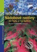 Kniha: Nádobové rastliny do bytu a na balkón - Veľký obrazový atlas (Fuchs Burki), 2007 Kniha: Nádobové rastliny do bytu a na balkón - Veľký obrazový atlas (Fuchs Burki), 2007