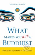 Kniha: What Makes You Not a Buddhist (Dzongsar Jamyang Khyentse). , 2025 Kniha: What Makes You Not a Buddhist (Dzongsar Jamyang Khyentse). , 2025