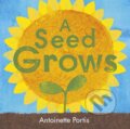 Kniha: A Seed Grows (Antoinette Portis). Scallywag, 2025 Kniha: A Seed Grows (Antoinette Portis). Scallywag, 2025