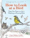 Kniha: How to Look at a Bird (Clare Walker Leslie). Storey Publishing, 2024 Kniha: How to Look at a Bird (Clare Walker Leslie). Storey Publishing, 2024