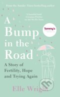 Kniha: A Bump in the Road (Elle Wright). Lagom, 2021 Kniha: A Bump in the Road (Elle Wright). Lagom, 2021